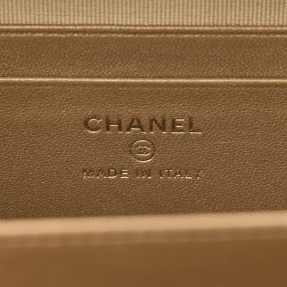Chanel Lambskin Quilted CC Pearl Crush Camera Case Grey 6 of 10