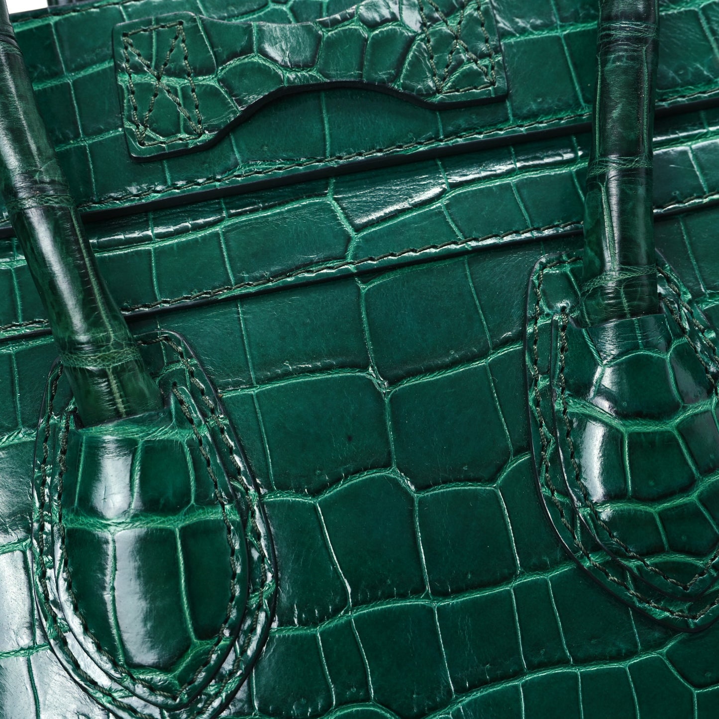 Crocodile Micro Luggage Green