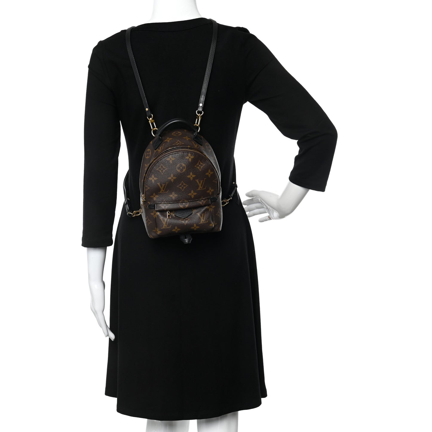 Monogram Palm Springs Backpack Mini