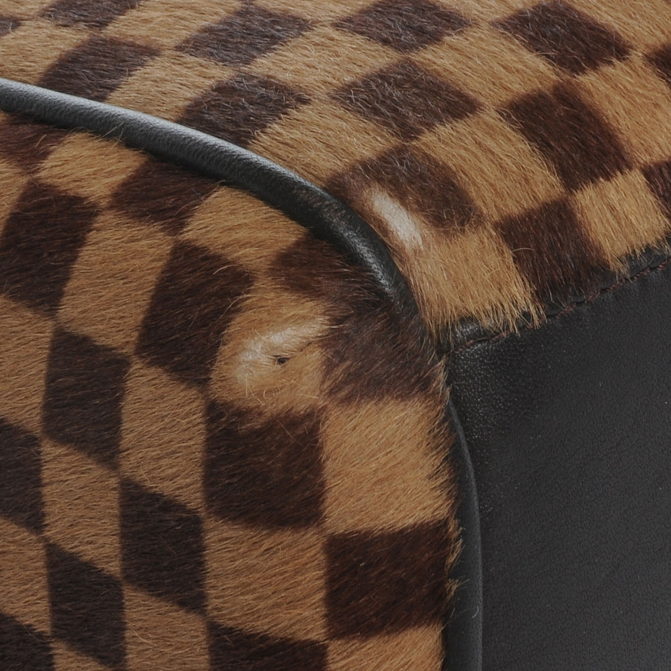 Louis Vuitton Damier Sauvage Lionne 8 of 10