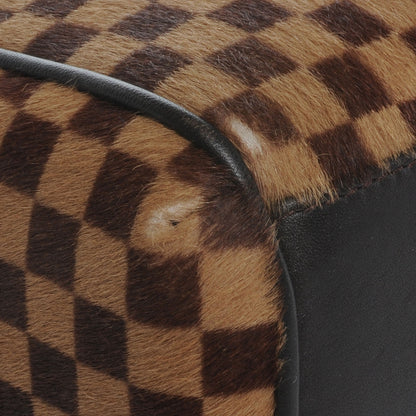 Louis Vuitton Damier Sauvage Lionne 8 of 10