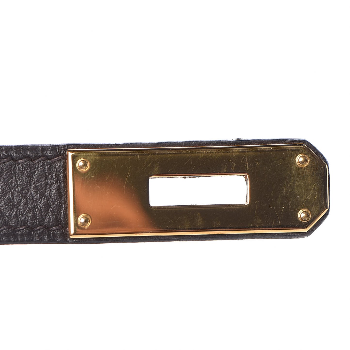 Taurillon Clemence Kelly Retourne 35 Chocolate