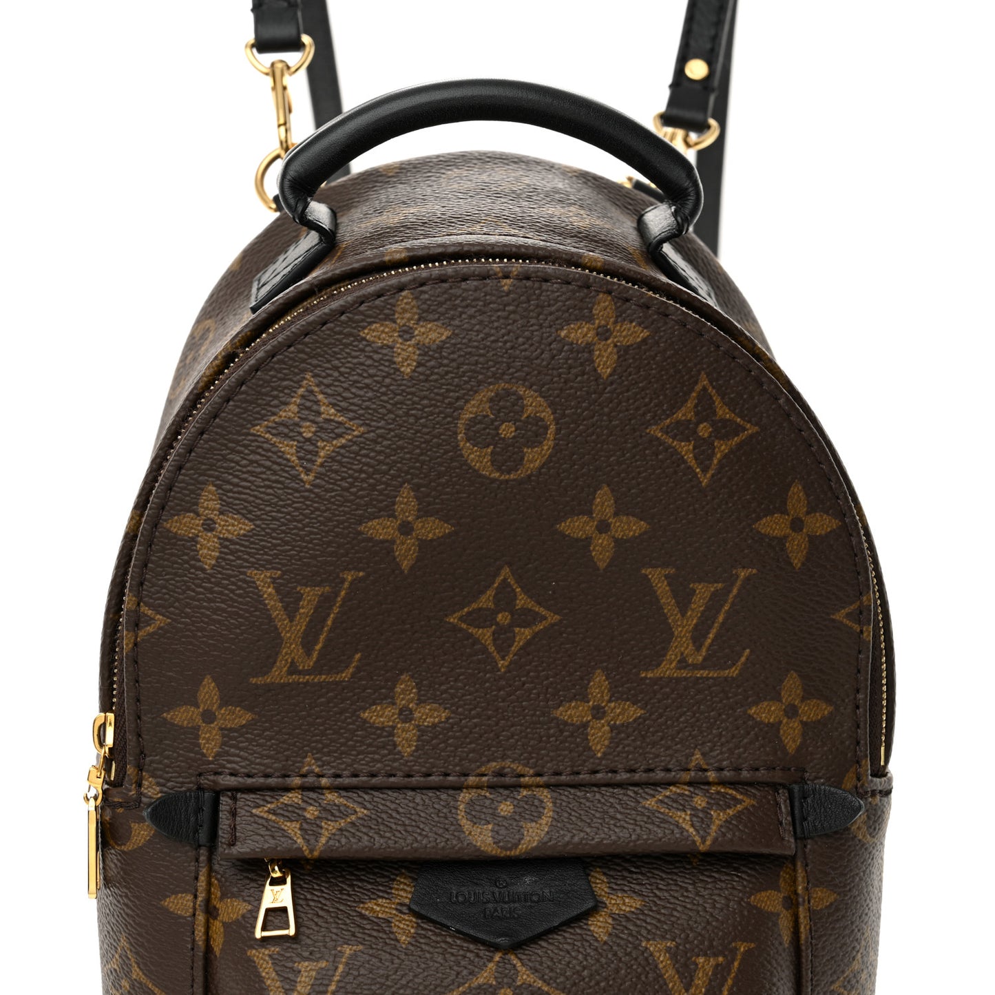 Monogram Palm Springs Backpack Mini