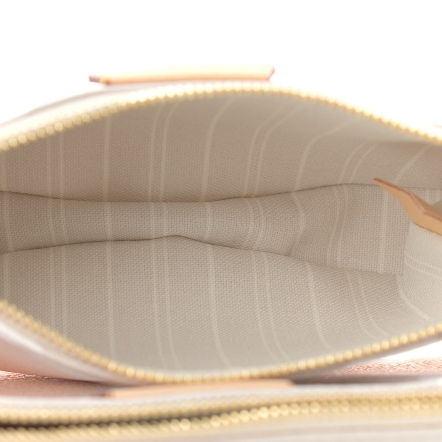Monogram Giant By The Pool Multi Pochette Accessories Brume
