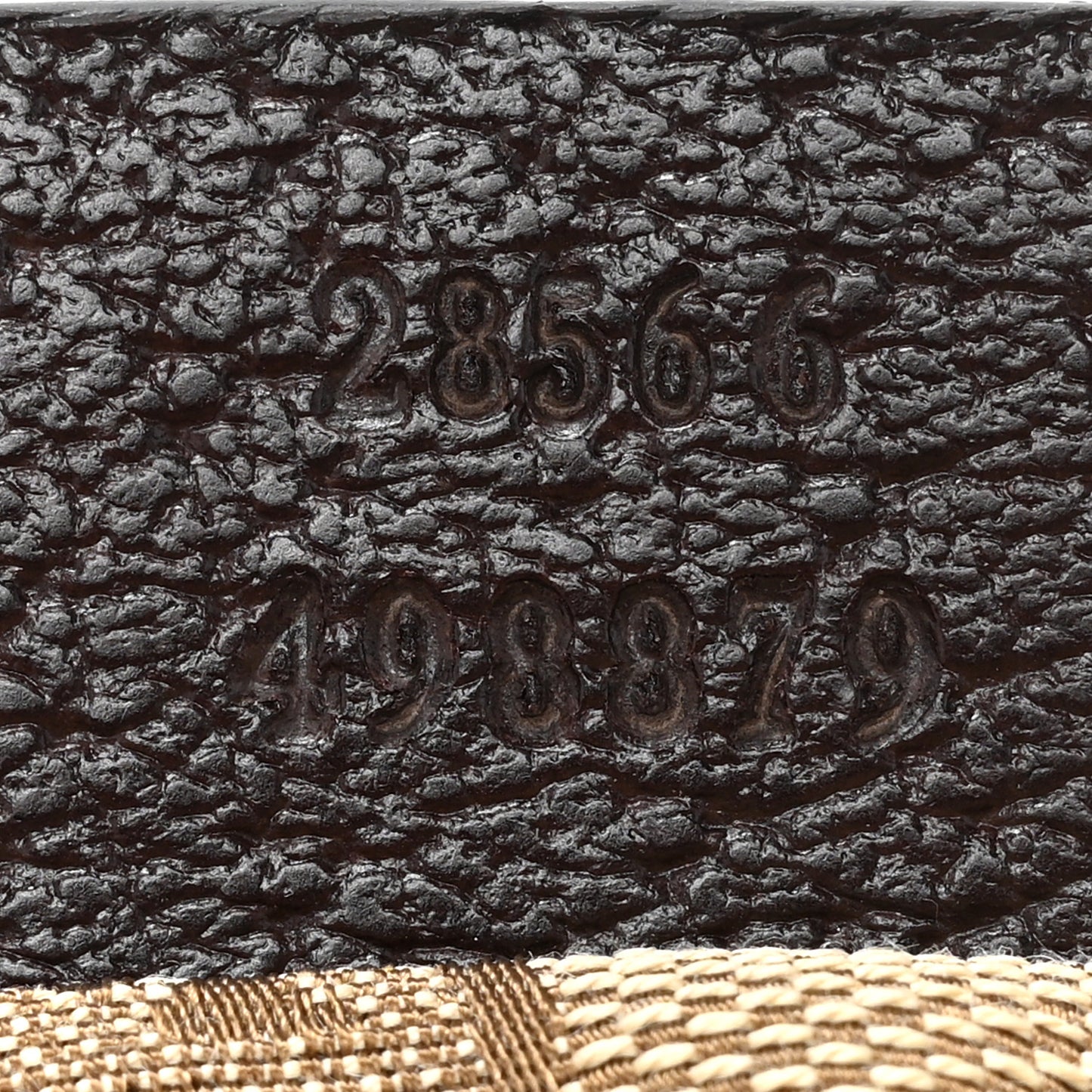 Monogram Web Belt Bag Dark Brown