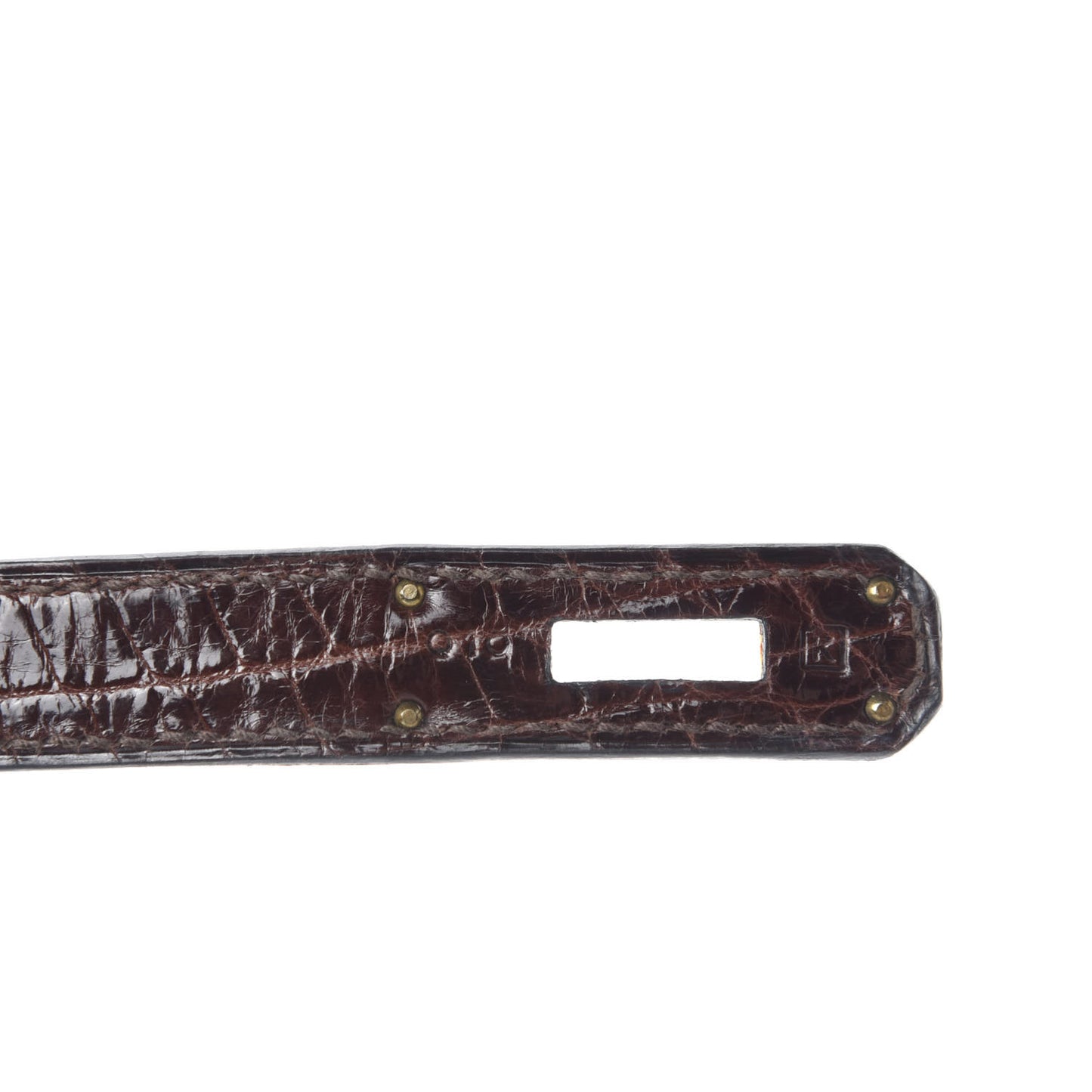 Shiny Niloticus Crocodile Birkin 30 Havane