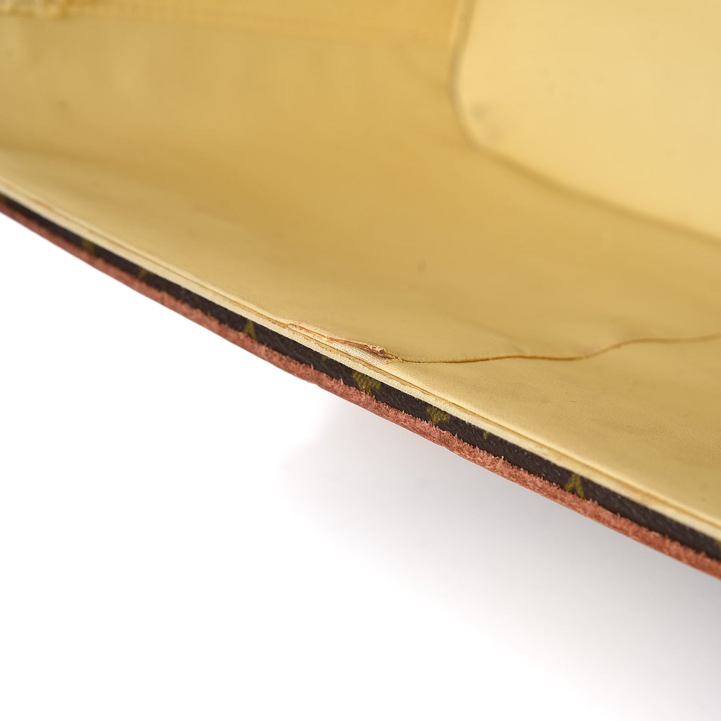 Monogram Train Case