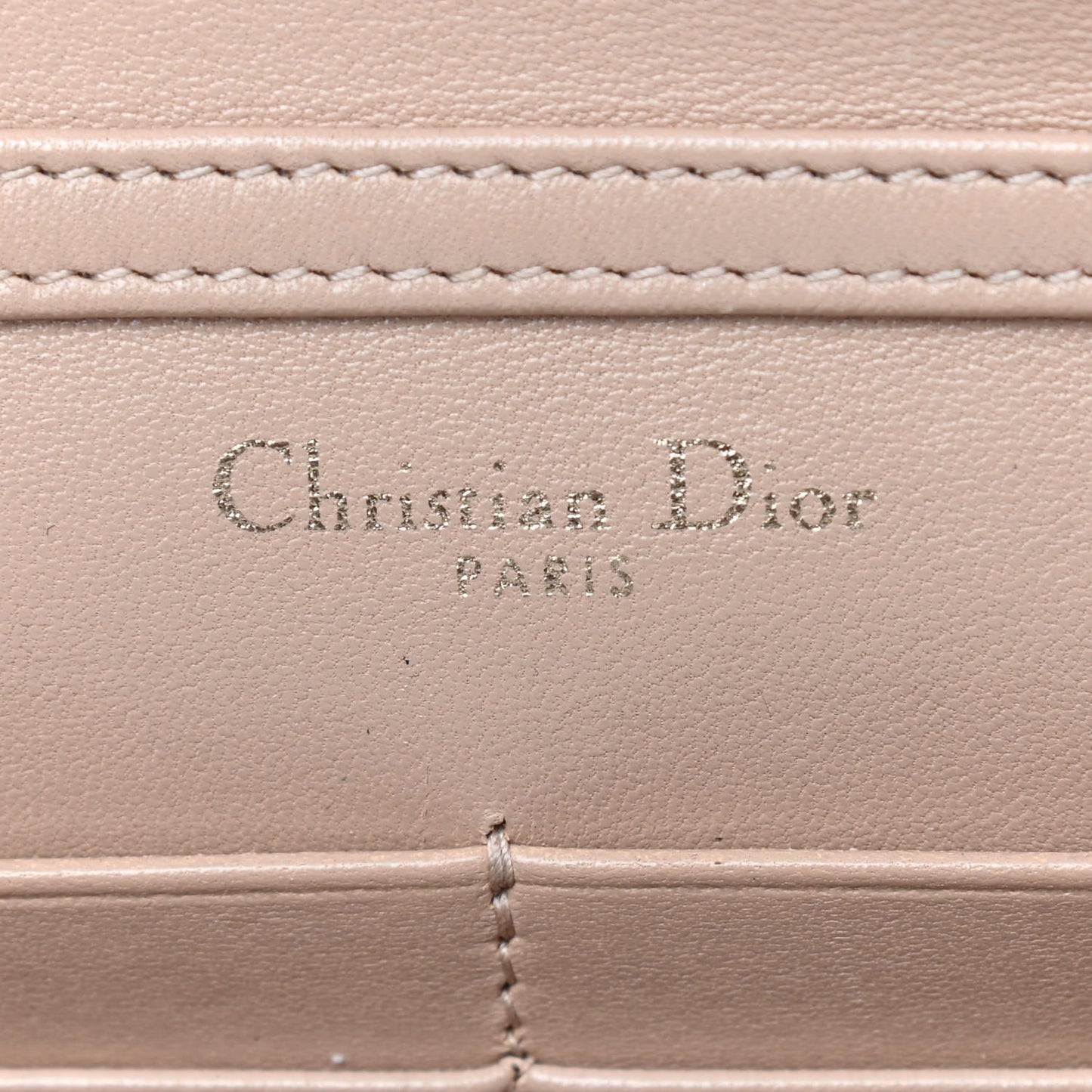 Grained Calfskin Diorama Wallet on Chain Pouch Nude