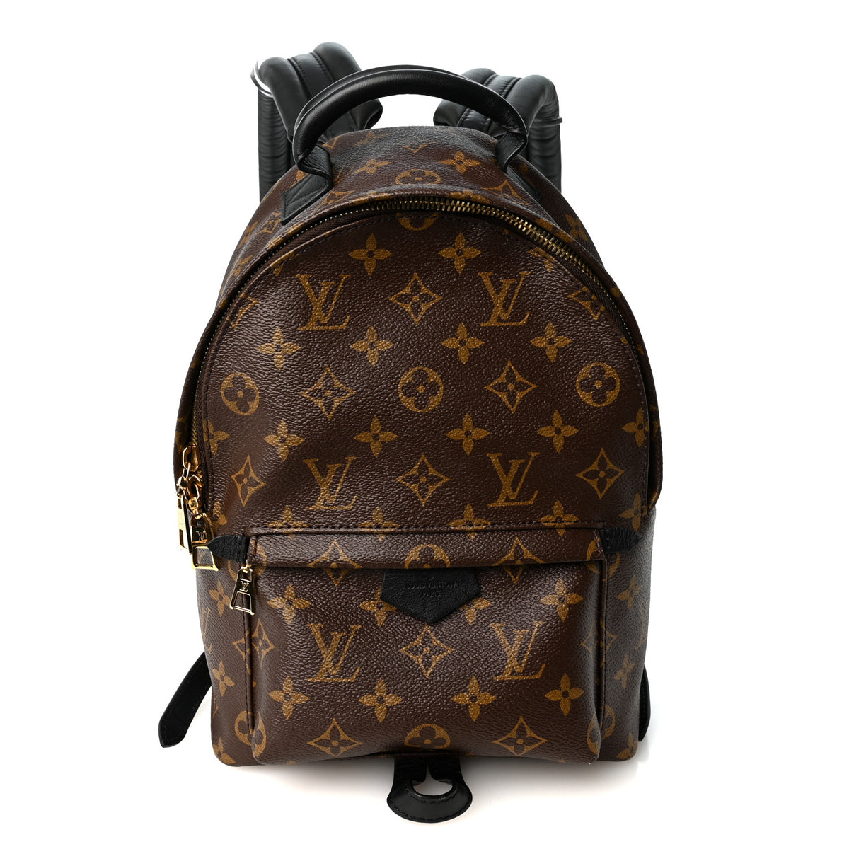 Louis Vuitton Monogram Palm Springs Backpack PM 1 of 9