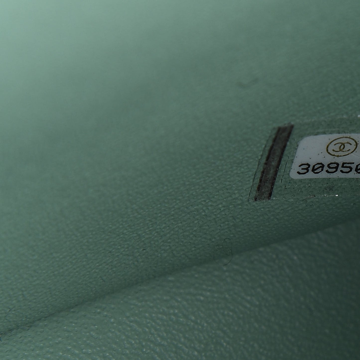 Lambskin Quilted Mini Rectangular Flap Light Green