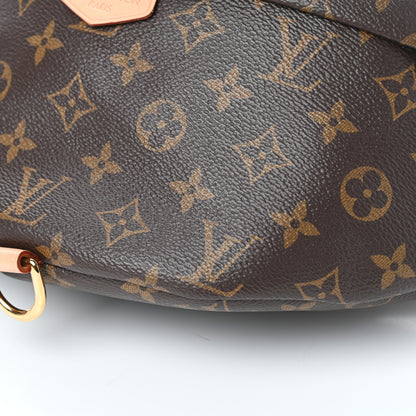 Louis Vuitton Monogram Bumbag 9 of 9