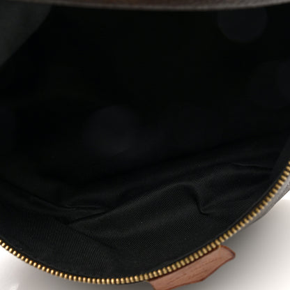 Louis Vuitton Monogram Bumbag 5 of 12