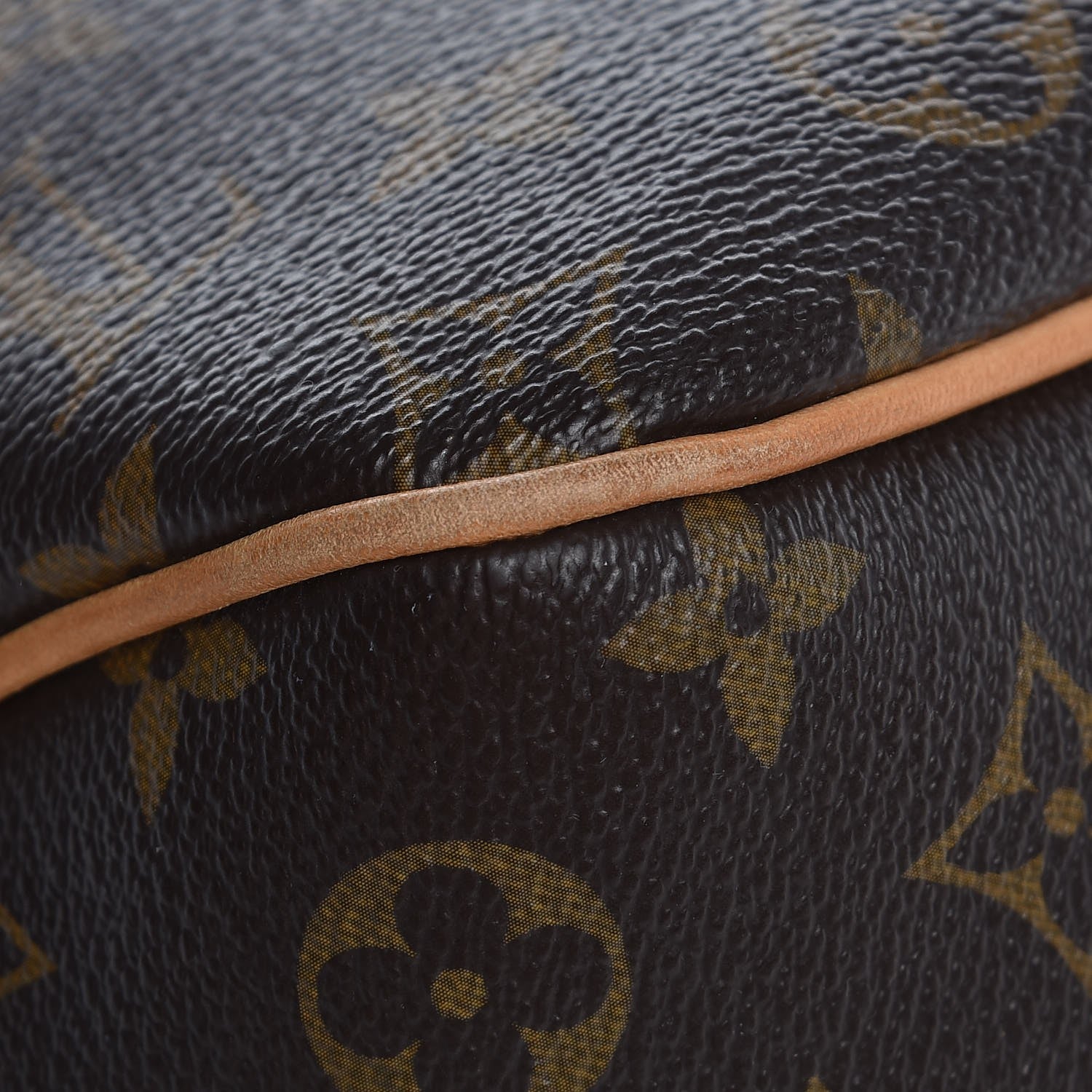 Louis Vuitton Monogram Delightful PM 10 of 13