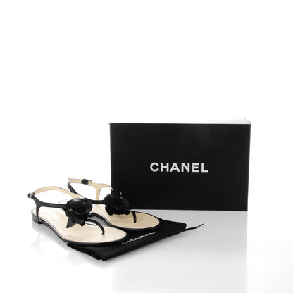 Chanel Lambskin Camellia Thong Sandals 40 Black 7 of 7