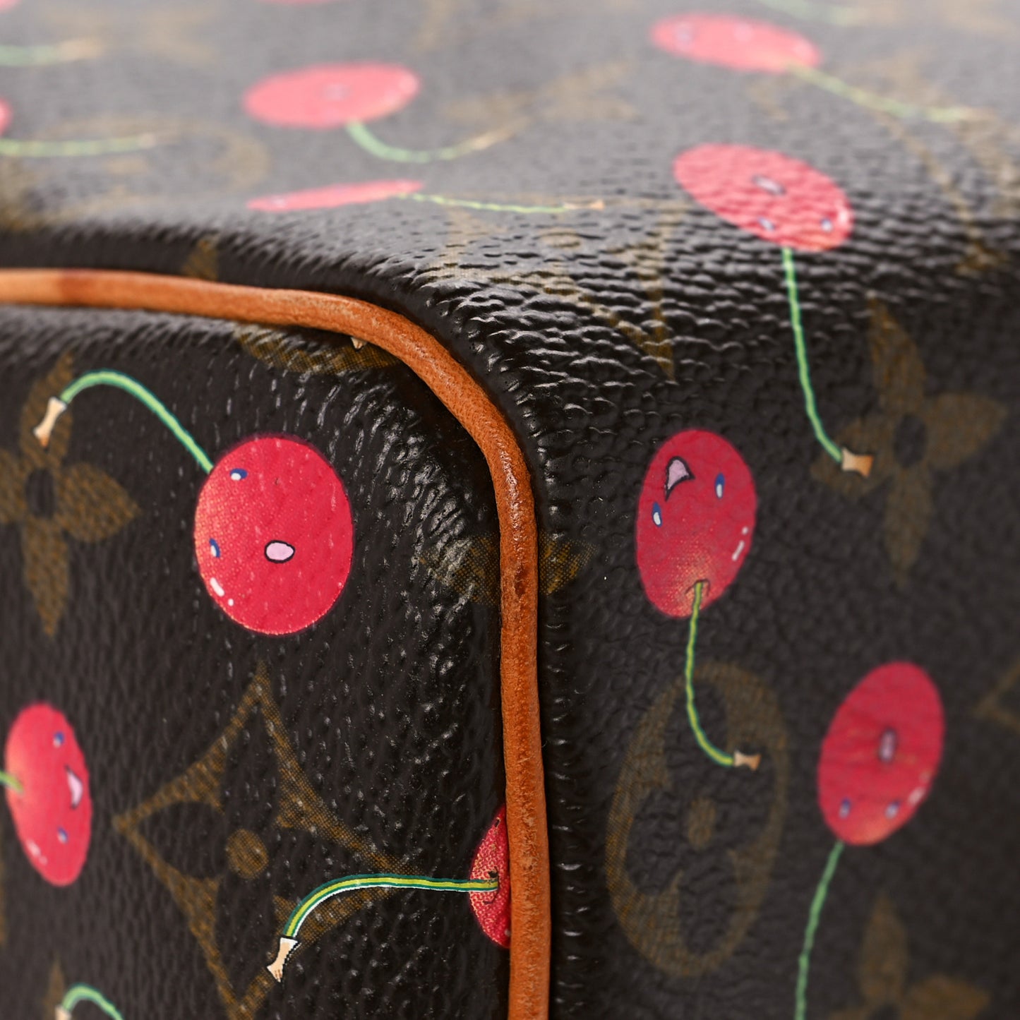 Monogram Cerises Speedy 25