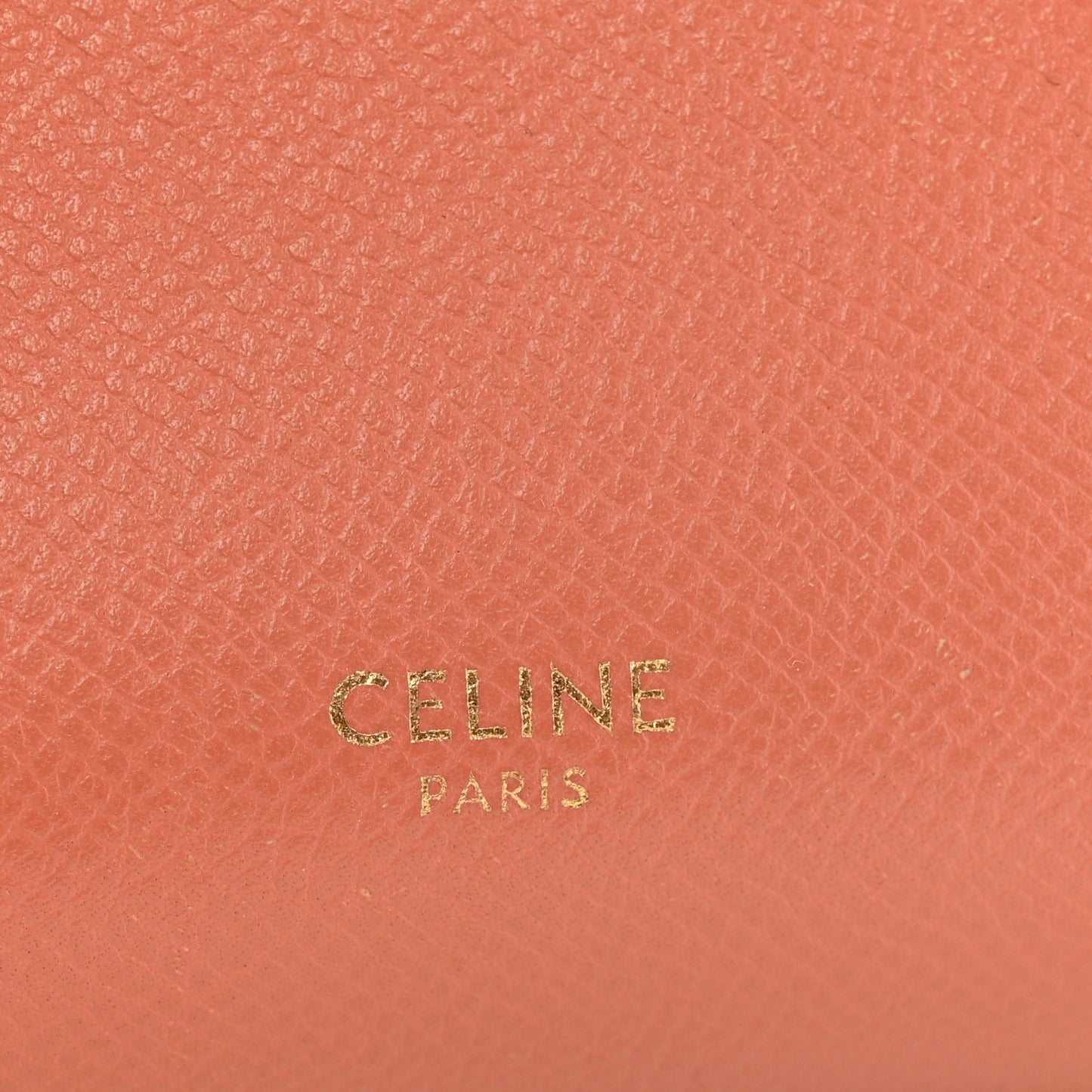 Grained Calfskin Pico Belt Bag Lychee