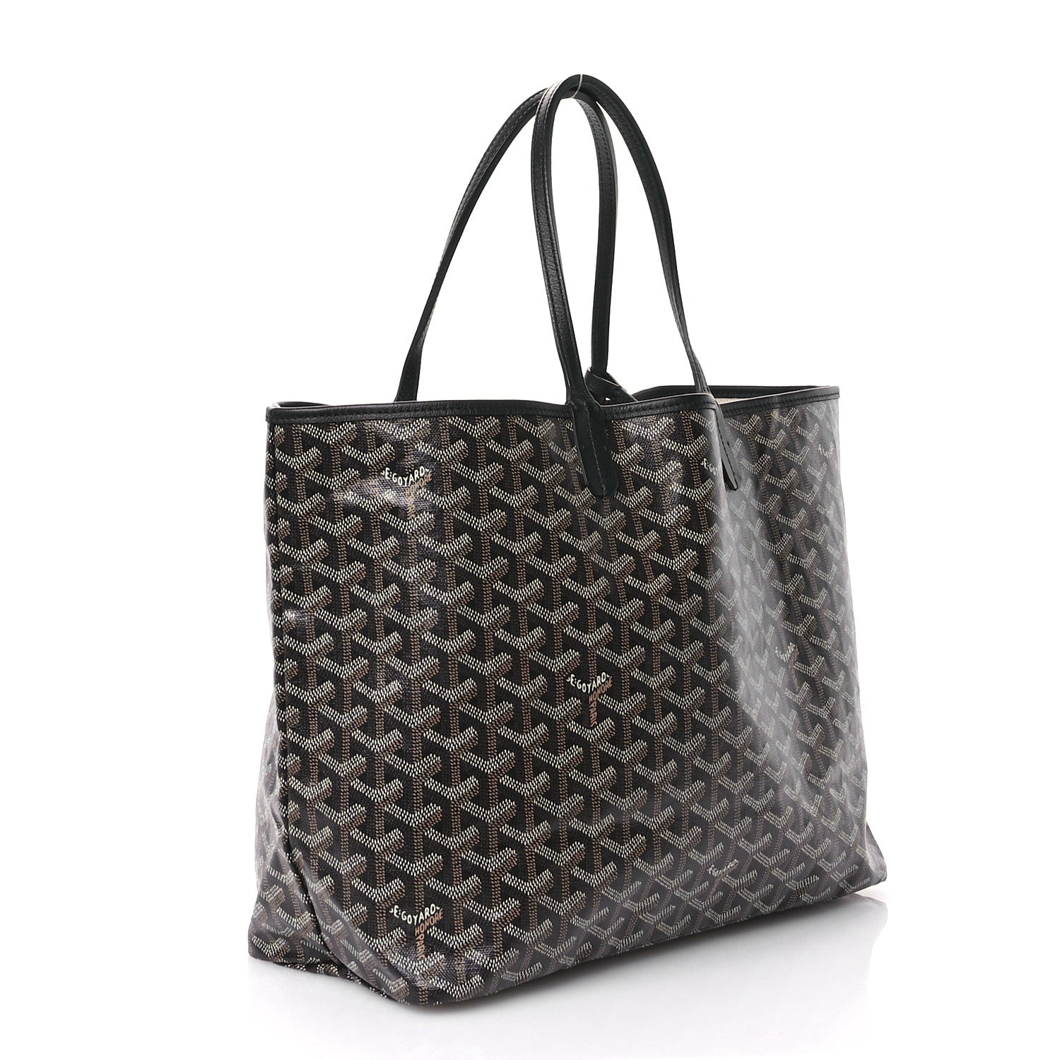 Goyard Goyardine Saint Louis PM Black 4 of 10