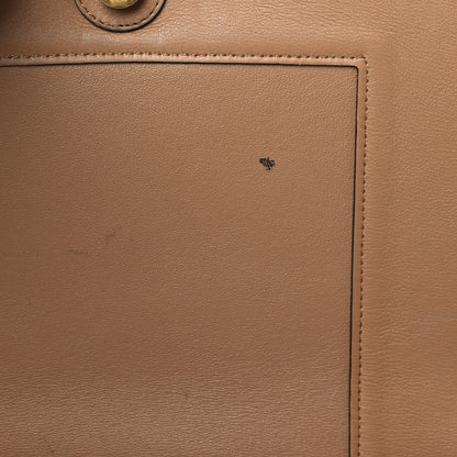 Celine Shiny Smooth Calfskin Medium Frame Shoulder Bag Tan Optic White 9 of 12