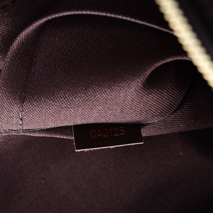 Louis Vuitton Damier Ebene Porte-Documents Jour 8 of 9