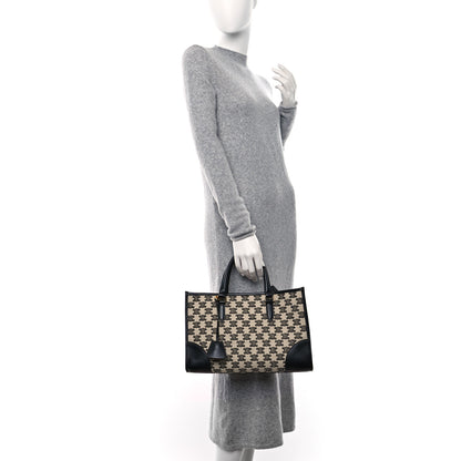 Celine Canvas Calfskin Triomphe Embroidered Mini Horizontal Cabas Black 2 of 8