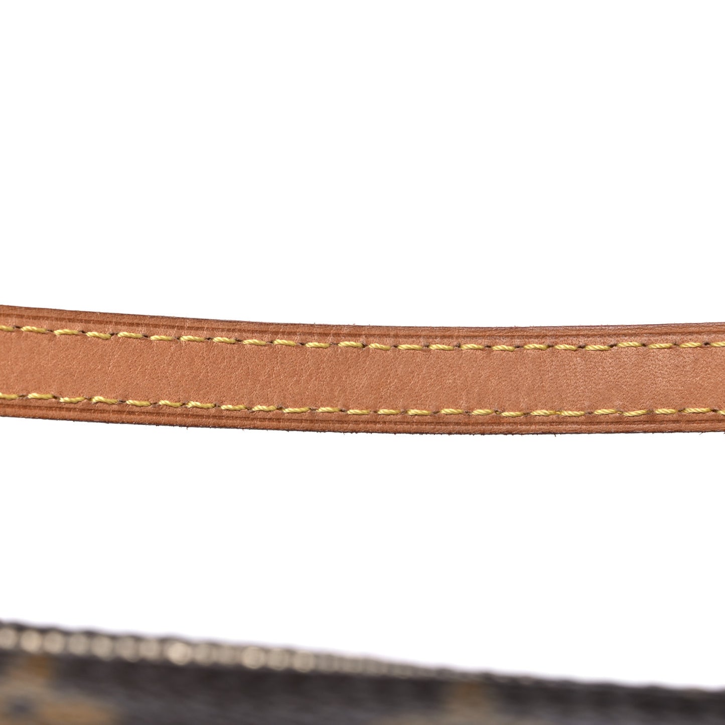Monogram Papillon 30 With Companion