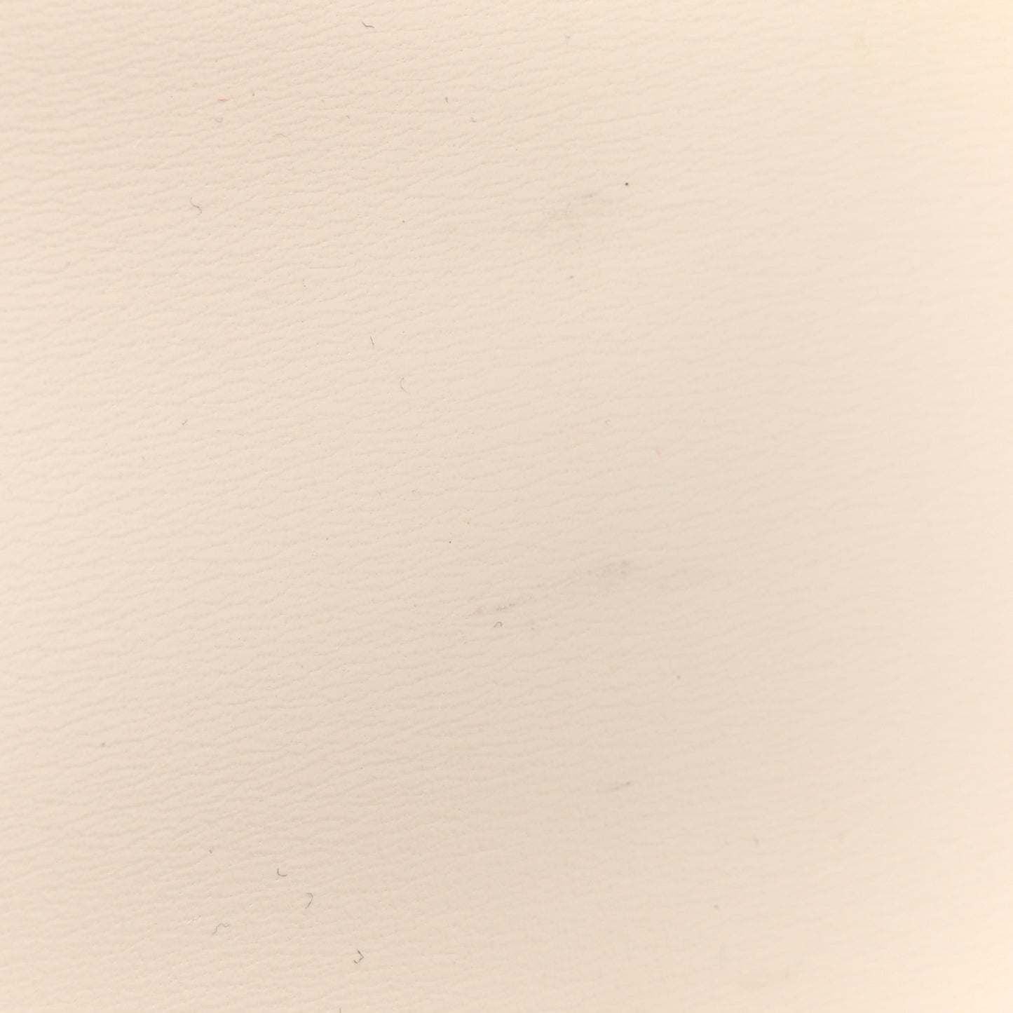 Boarded Dyana Lux Calfskin Small Jackie 1961 Hobo Mystic White