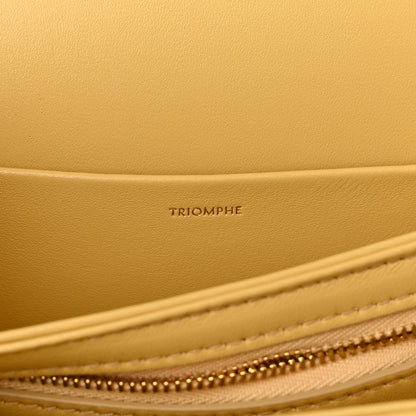 Celine Shiny Calfskin Medium Triomphe Pollen 7 of 12