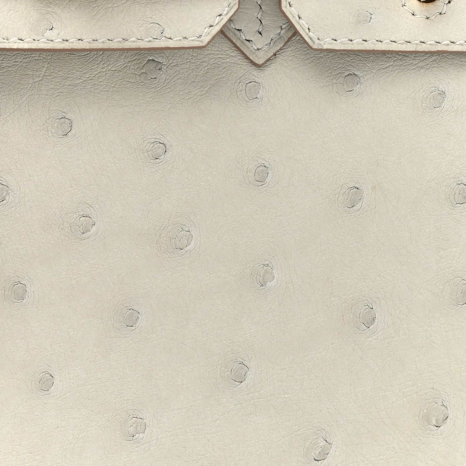 Hermes Ostrich Birkin 25 Gris Perle 8 of 11