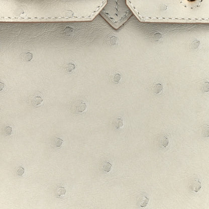 Hermes Ostrich Birkin 25 Gris Perle 8 of 11