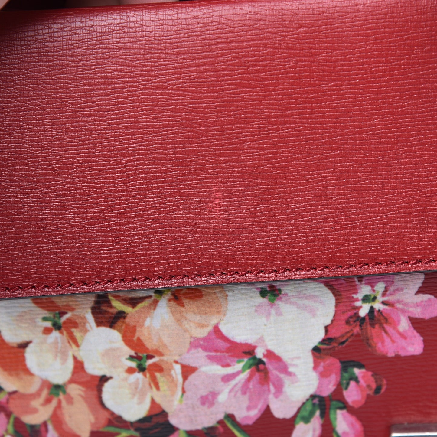 Calfskin Blooms Print Small Dionysus Shoulder Bag Romantic Cherry Multicolor