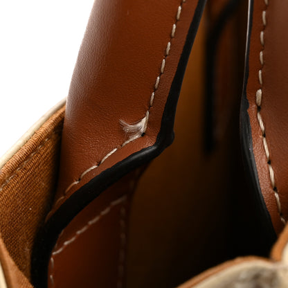Celine Triomphe Canvas Calfskin Mini Vertical Cabas Grege 12 of 13