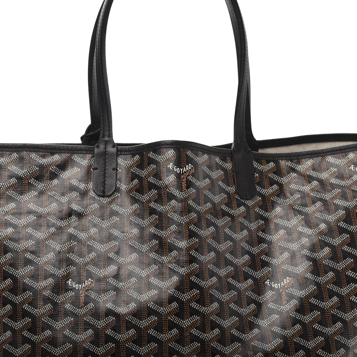 Goyard Goyardine Saint Louis PM Black 10 of 10