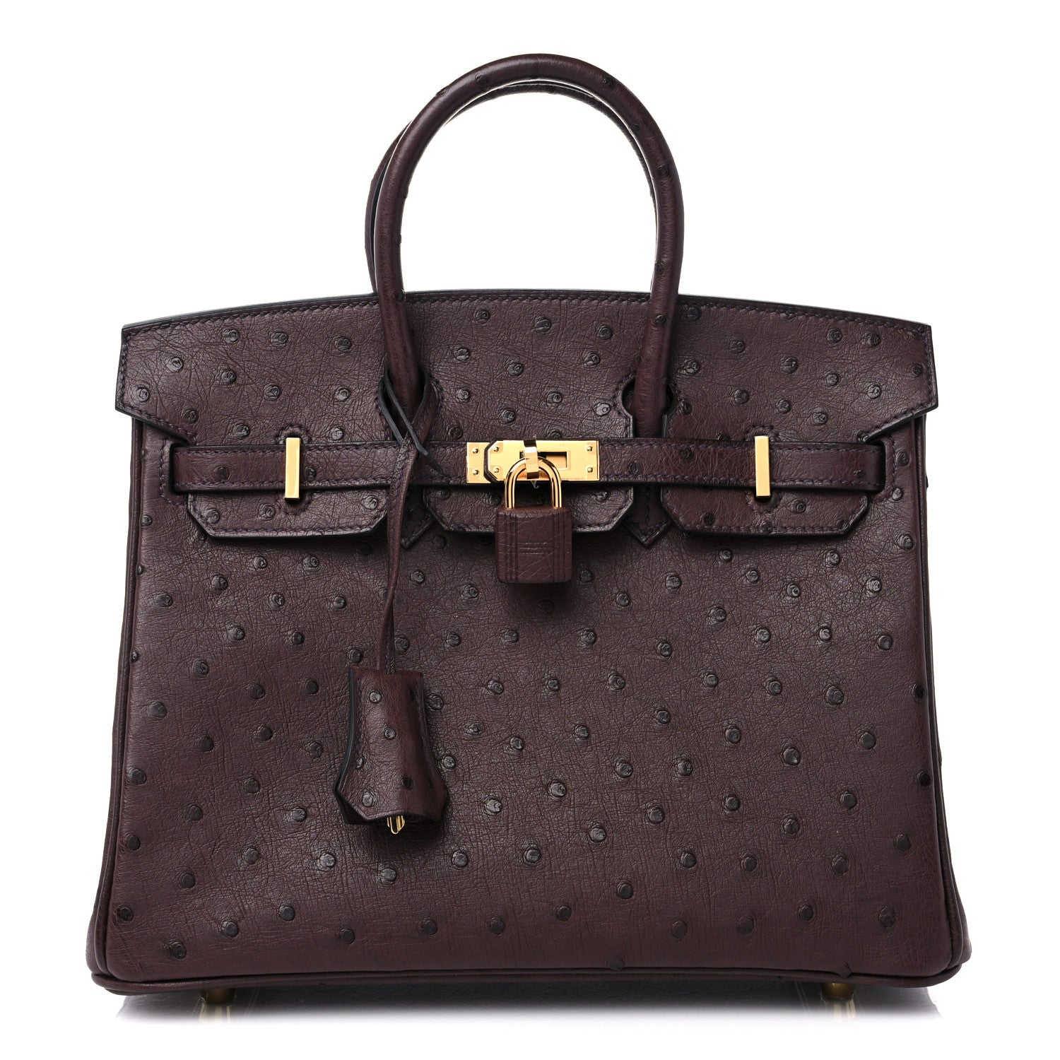 Hermes Ostrich Birkin 25 Rouge Sellier 1 of 10