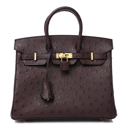 Hermes Ostrich Birkin 25 Rouge Sellier 1 of 10