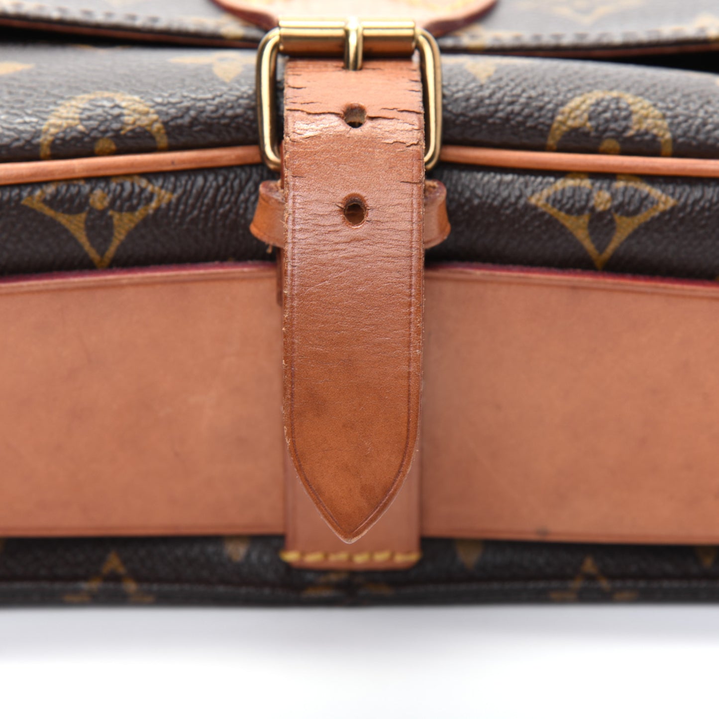 Monogram Cartouchiere 22