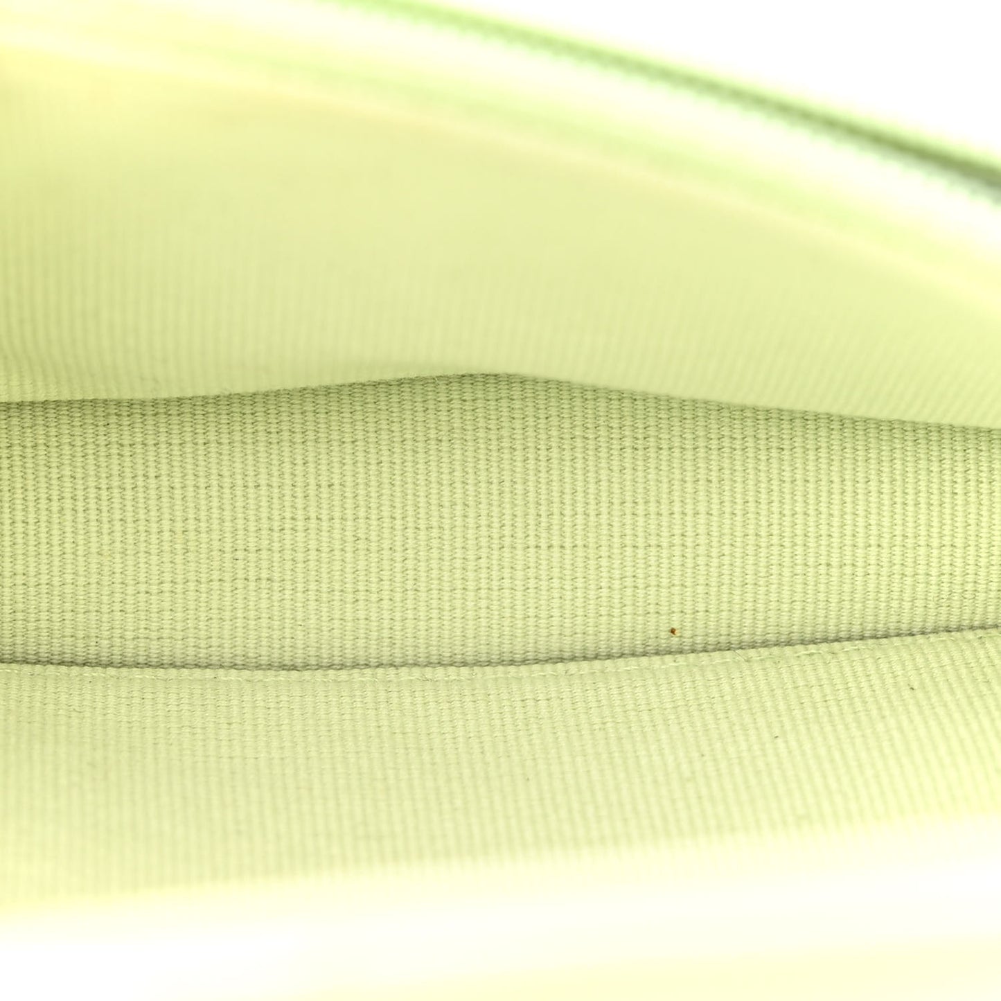 Lambskin Quilted Chanel 19 Clutch With Chain Light Green