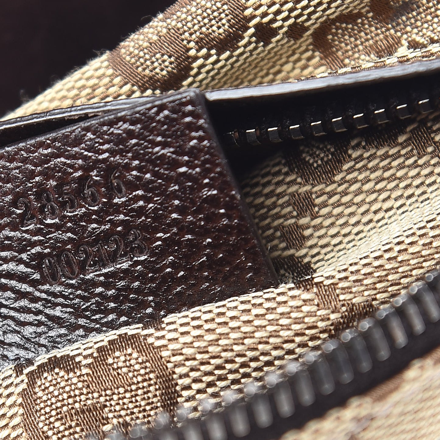 Monogram Web Belt Bag Dark Brown