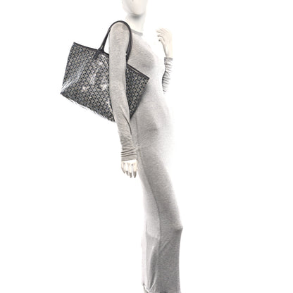 Goyard Goyardine Saint Louis PM Grey 2 of 11