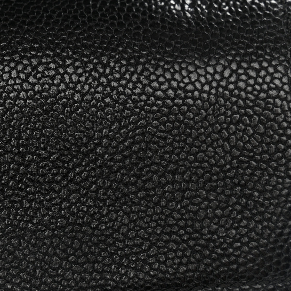 Chanel Caviar Quilted 2.55 Reissue 226 Flap Black 12 of 12