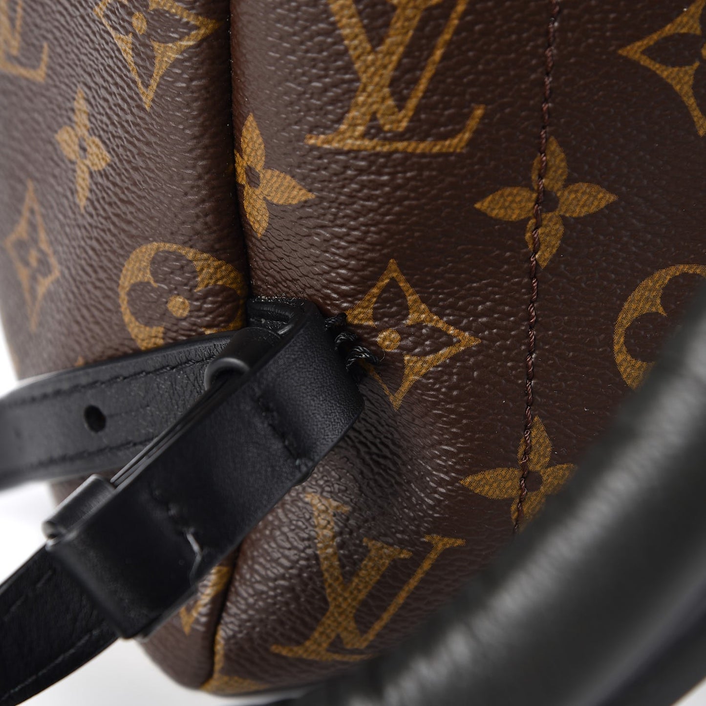 Monogram Palm Springs Backpack MM