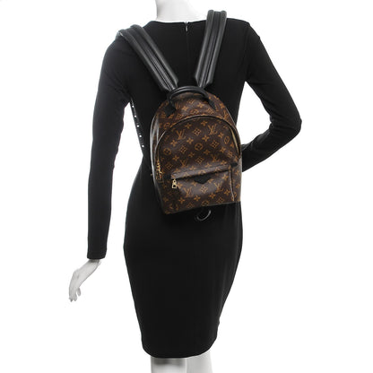Louis Vuitton Monogram Palm Springs Backpack PM 2 of 7