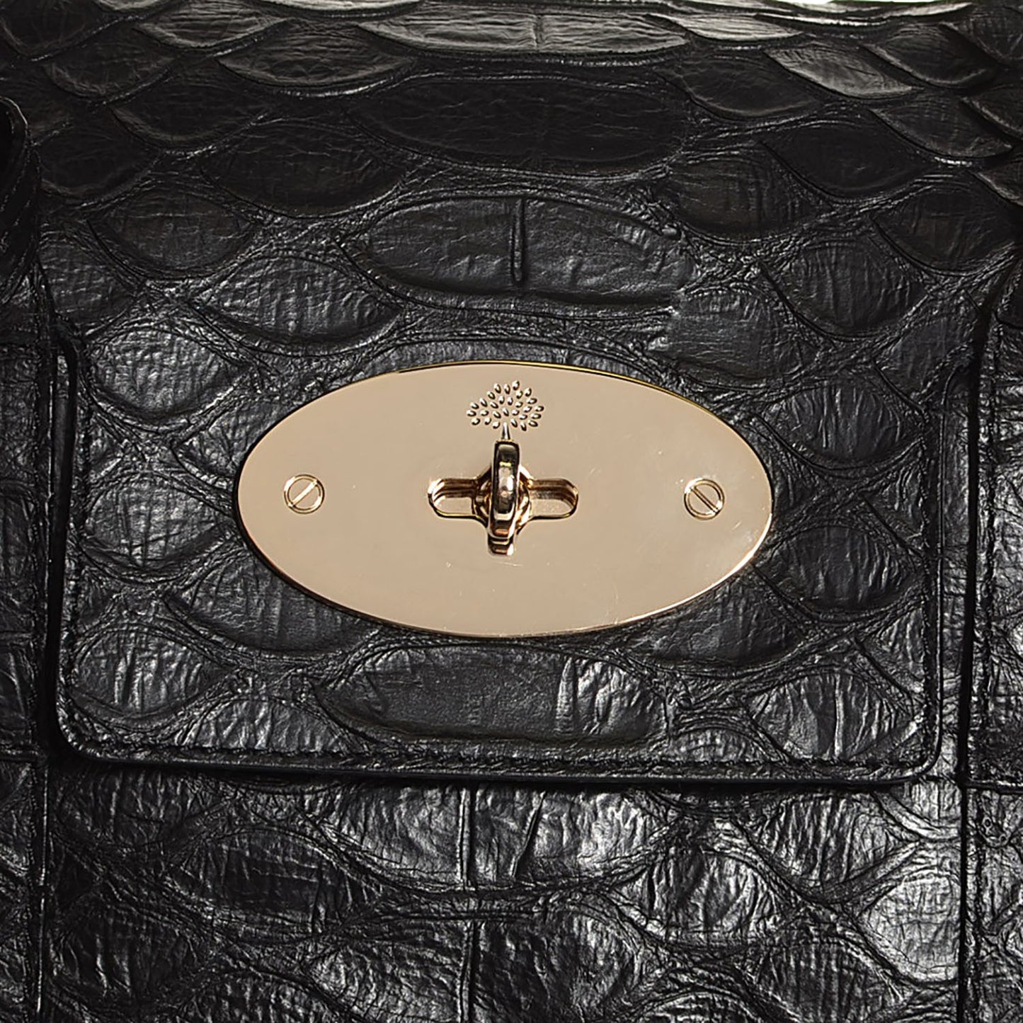 Silky Snake Bayswater Black