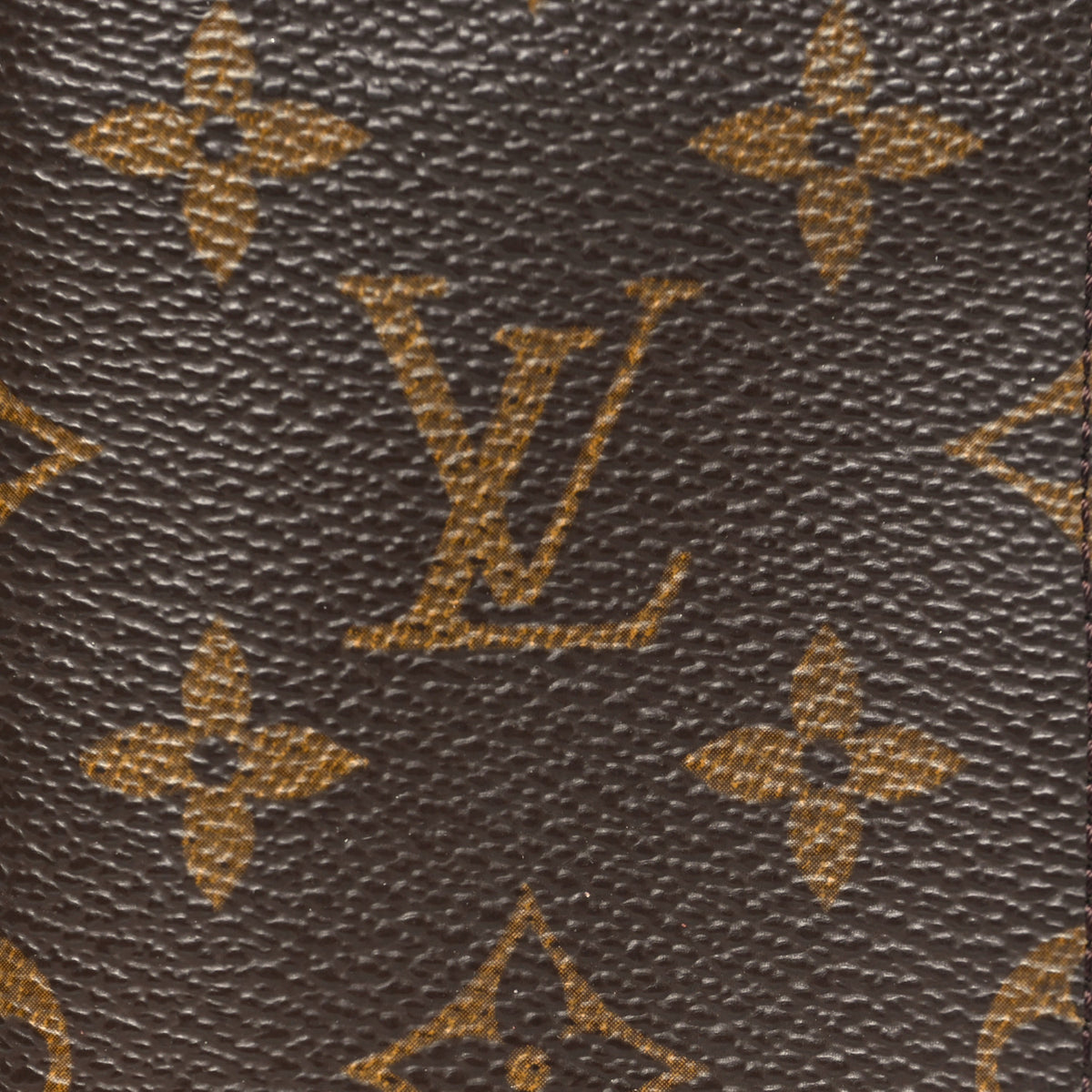 Monogram Sunglasses Case