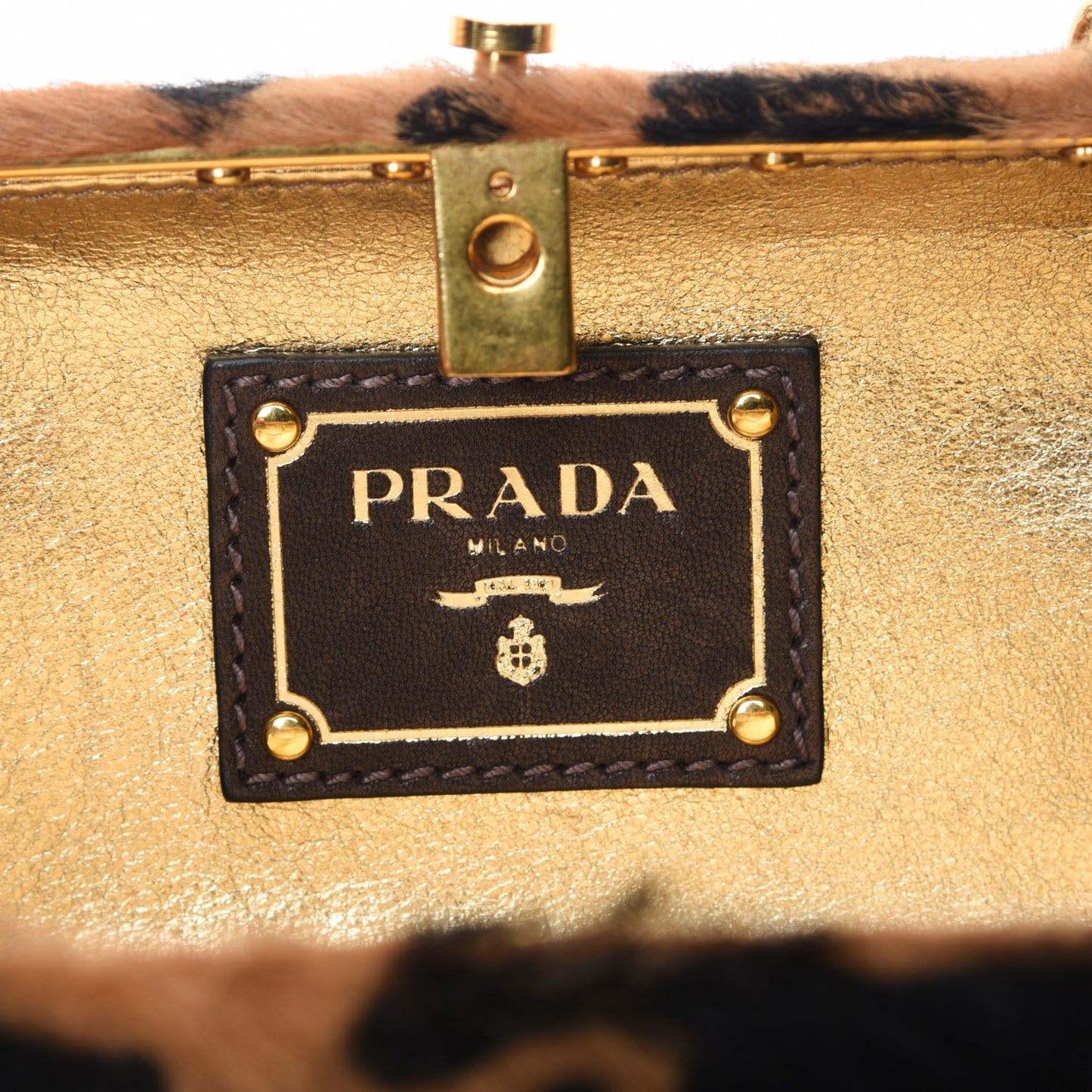 Calf Hair Leopard Print Chain Clutch Miele