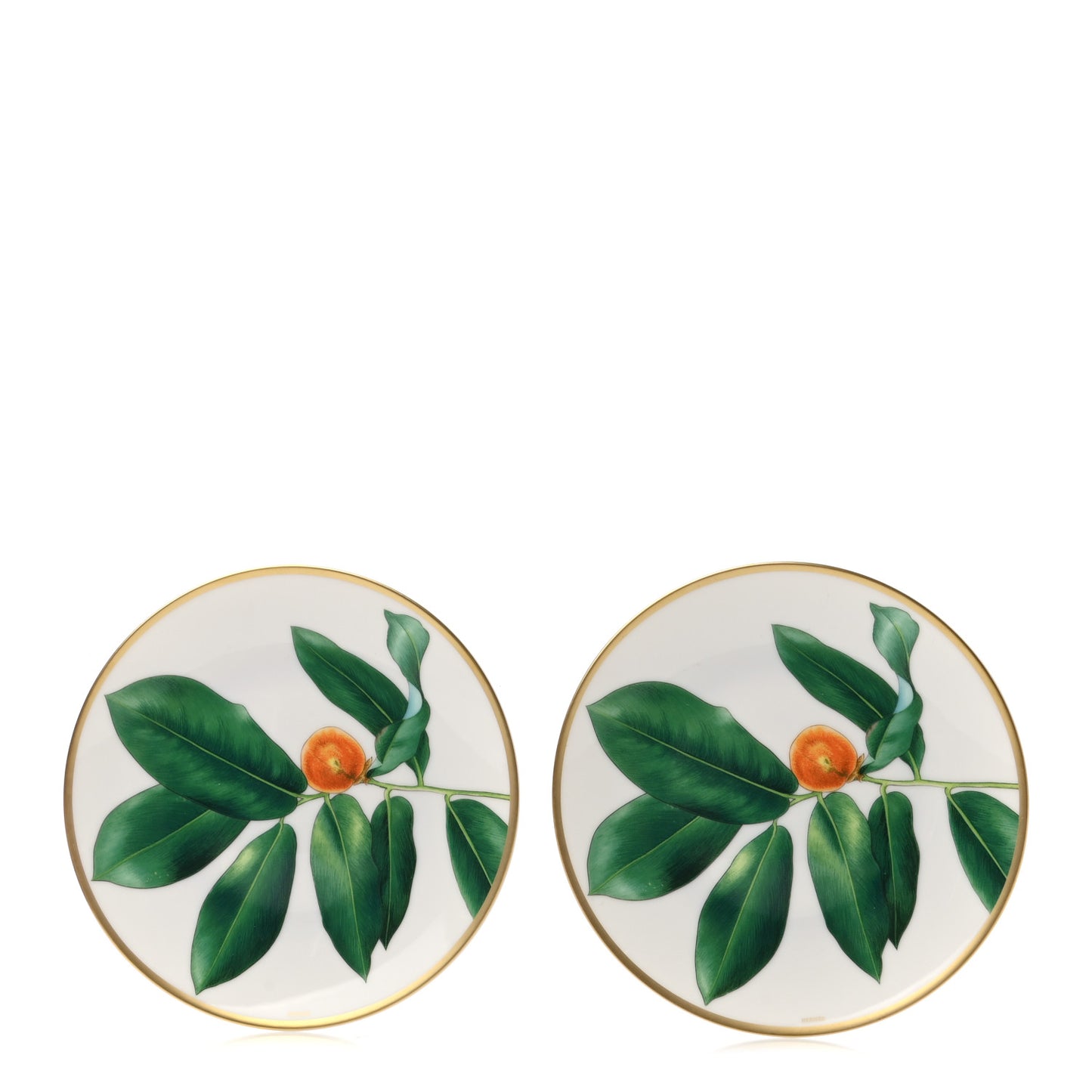 Porcelain Passifolia Dessert Plate Set of 2