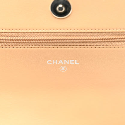 Chanel Caviar Quilted Boy Wallet On Chain WOC Dark Beige 6 of 13