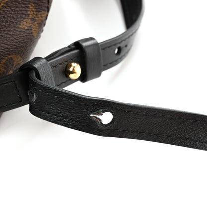 Louis Vuitton Monogram Palm Springs Backpack PM 10 of 10