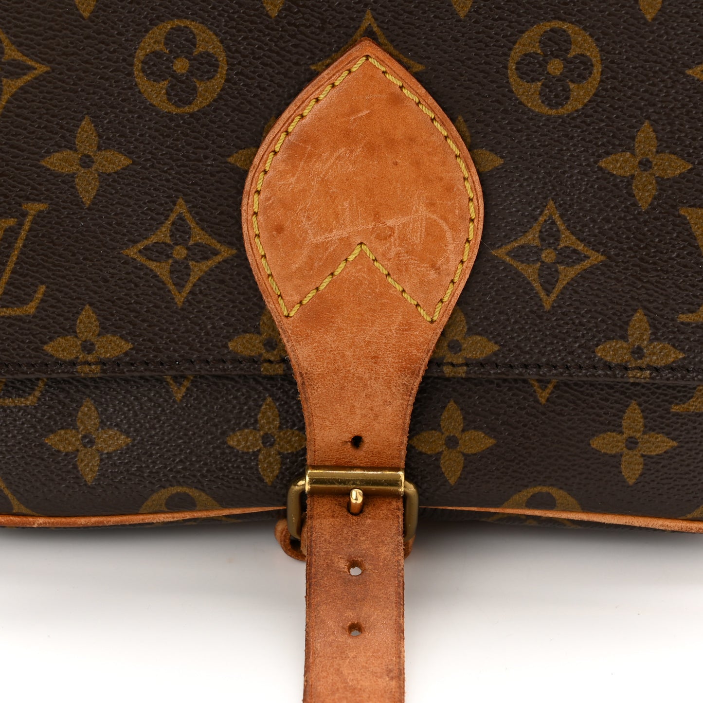 Monogram Cartouchiere 22