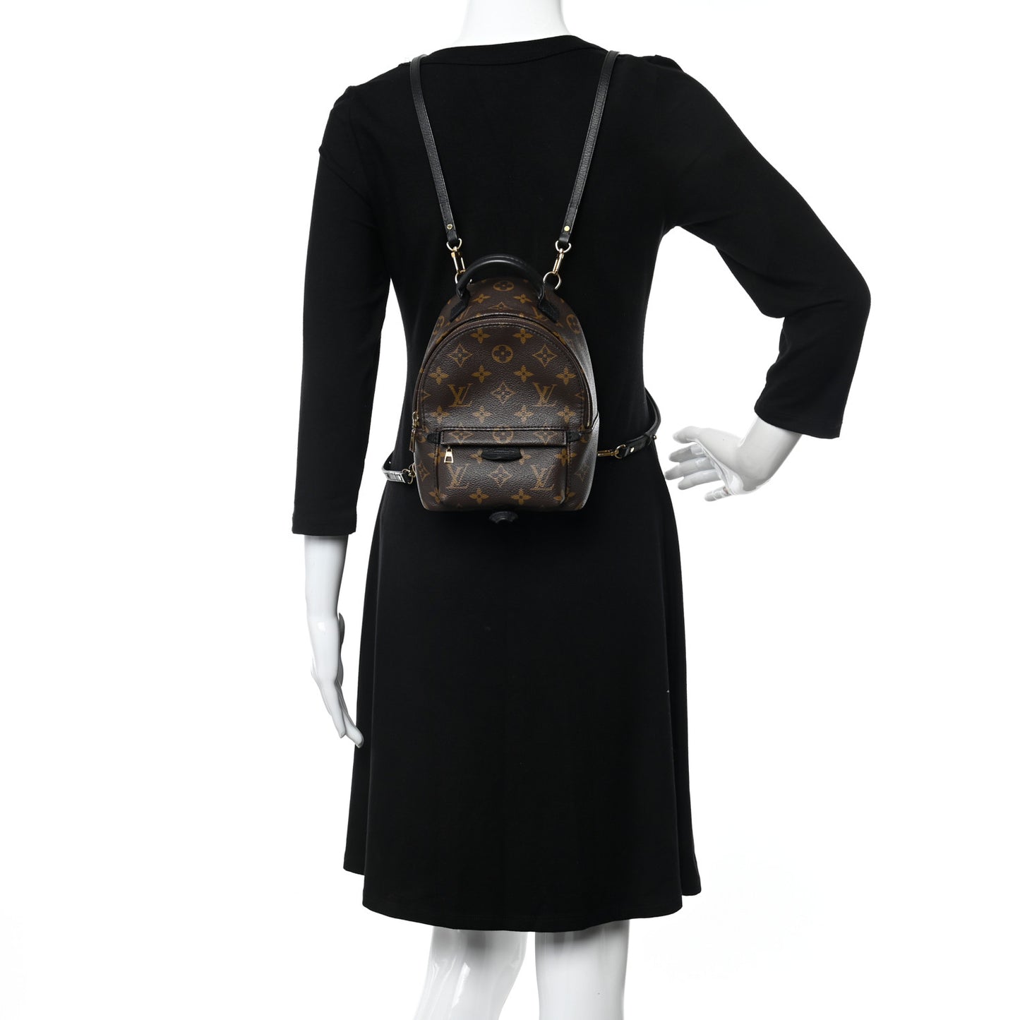 Monogram Palm Springs Backpack Mini