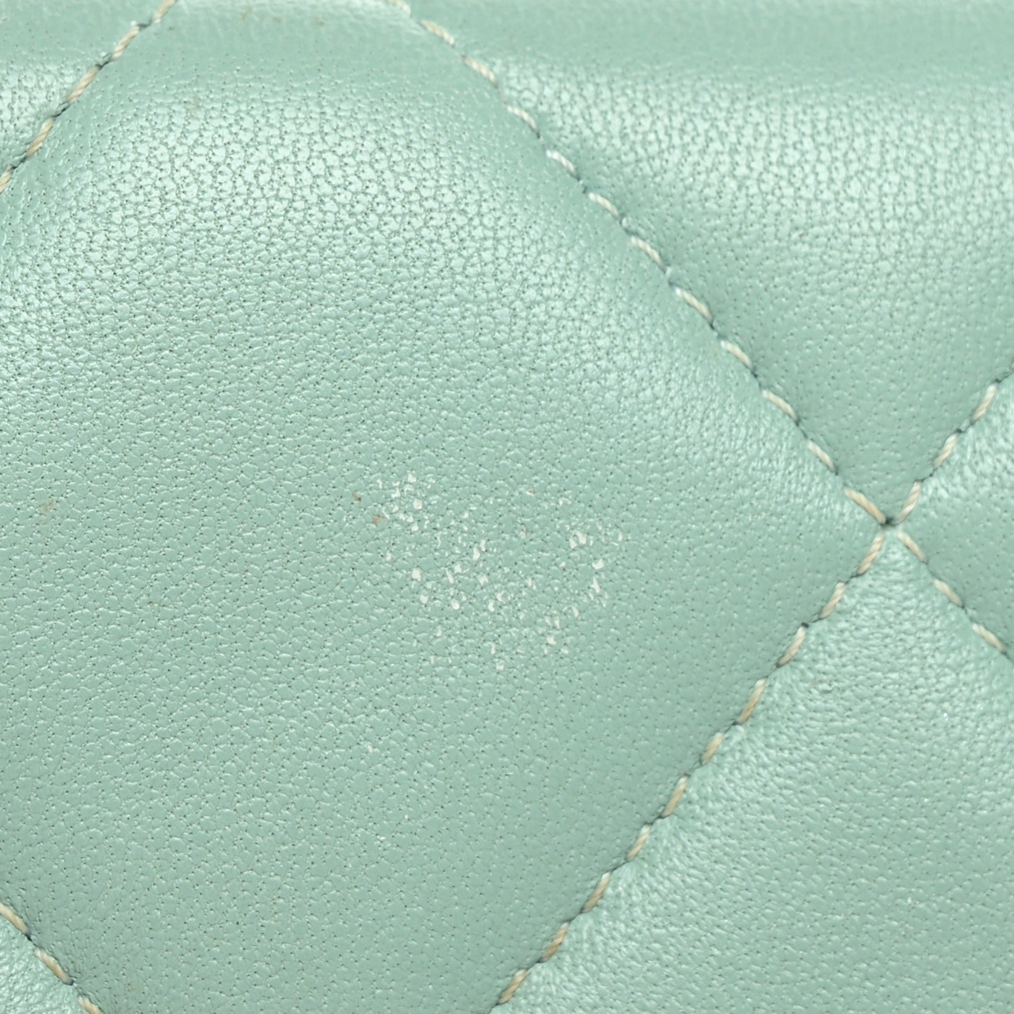 Lambskin Quilted Chanel 19 Flap Card Holder Light Green